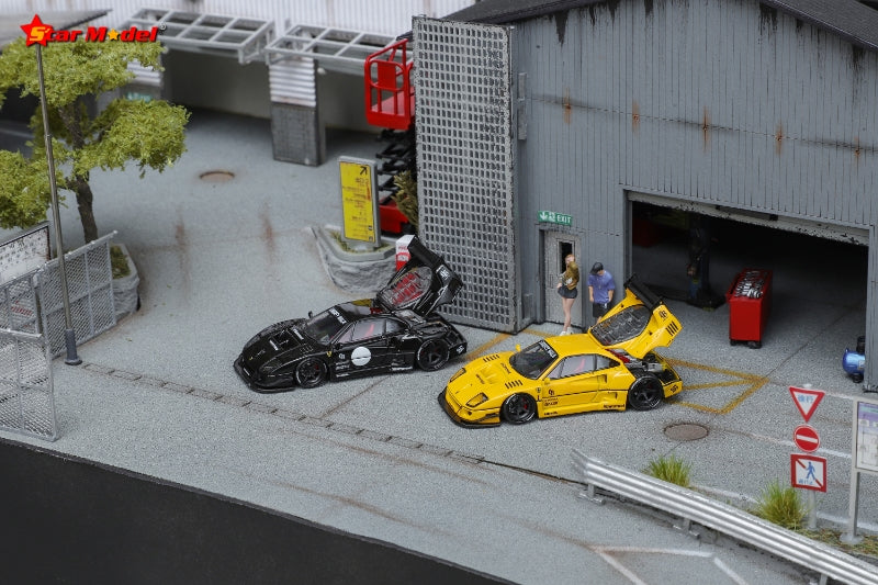 Star Model 1/64 F40 WildBody